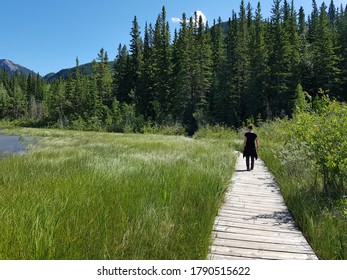 Park Trail Bow Valley Provincial Park Alberta Canada