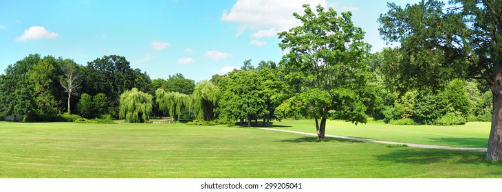 Park Tree Panorama       