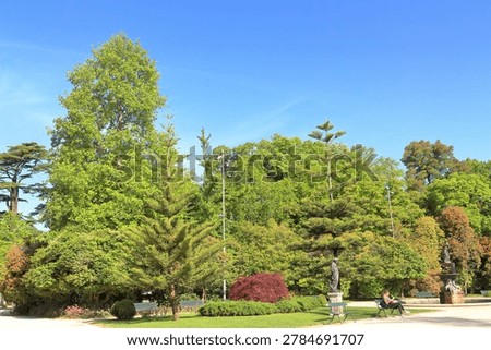 A park with trees and a statue