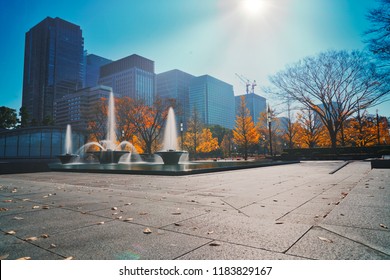 Park View Autumn In Tokyo City