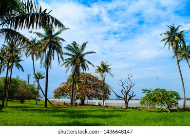 A Park View Of A Lagoon Front In University Of Lagos, Nigeria 