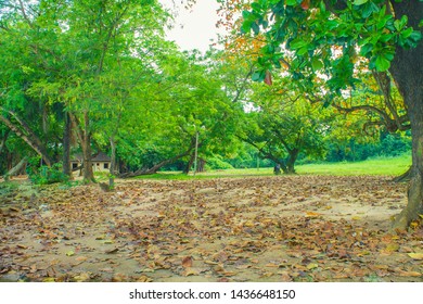 A Park View Of A Lagoon Front In University Of Lagos, Nigeria 