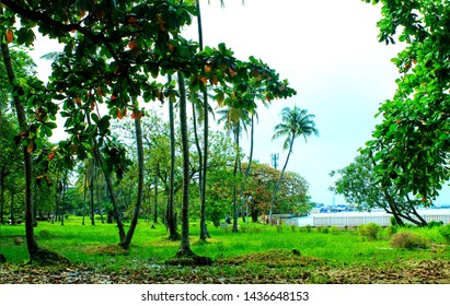 A Park View Of A Lagoon Front In University Of Lagos, Nigeria 