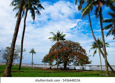 A Park View Of A Lagoon Front In University Of Lagos, Nigeria 