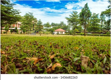 A Park View Of A Landscape In University Of Lagos 