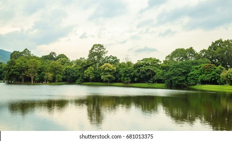 Park view and reflection in the lake with cloud on the sky.