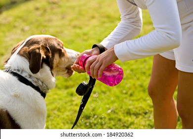 Park: Woman Gives Dog Drink From Water Bottle