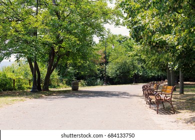Park with wooden benches and green trees