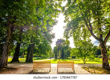 parkbenches at a park in baden-baden - germany