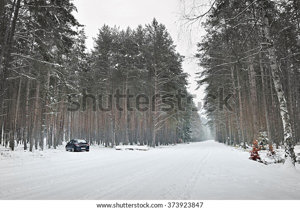 parked car next snowy road\
in forest