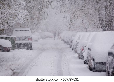Parked cars covered with snow - snow storm