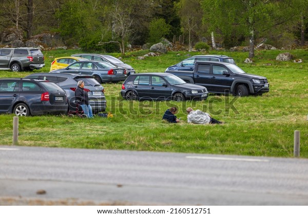 Parked cars and\
people rest on grass near cars in temporary outdoor parking lot.\
Sweden. Uppsala\
05.14.2022.