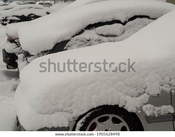 Parked passenger cars are covered with fresh white,\
fluffy snow