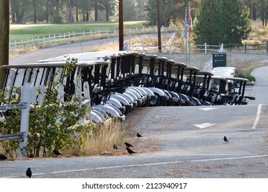 A Parking Area With Golf Carts Parked In A Line In Canada