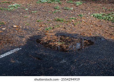 Parking lot covered with tree branches and pine needles, soaking wet ground and rain puddle on a sunny day, nature background after the storm
 - Powered by Shutterstock