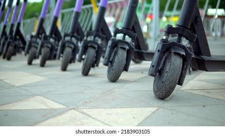 El aparcamiento es un gran número de motocicletas eléctricas cerca del parque verde cuando hace buen tiempo. Cargador para motocicletas eléctricas 4k