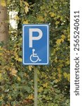 Parking sign for wheelchair users, disabled people with disability on a nature mountain forest background. Vertical portrait photo.