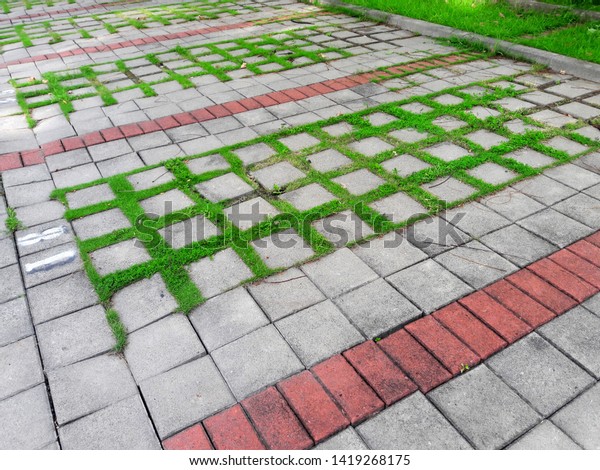 Parking\
lot with turf. Used to separate parking\
spaces