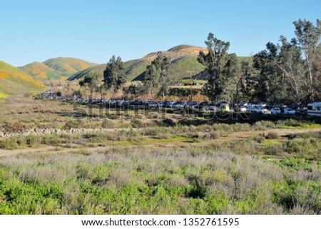 Parking at Walker canyon during the super bloom near Lake Elsinor, California, USA on March 14, 2019