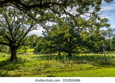 Parks Around Waterloo, Iowa 