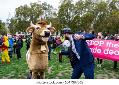 PARLIAMENT SQUARE, LONDON/ENGLAND- 24 October 2020: Protester Injecting A Pantomime Cow With Hormones At The 'STOP TRUMP, STOP THE TRADE DEAL' Protest, Against Hormone-laced Beef Among Other Issues