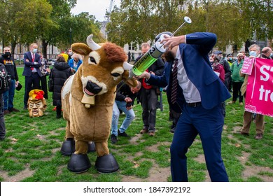 PARLIAMENT SQUARE, LONDON/ENGLAND- 24 October 2020: Protester Injecting A Pantomime Cow With Hormones At The 'STOP TRUMP, STOP THE TRADE DEAL' Protest, Against Hormone-laced Beef Among Other Issues