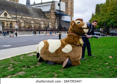 PARLIAMENT SQUARE, LONDON/ENGLAND- 24 October 2020: Protester Injecting A Pantomime Cow With Hormones At The 'STOP TRUMP, STOP THE TRADE DEAL' Protest, Against Hormone-laced Beef Among Other Issues