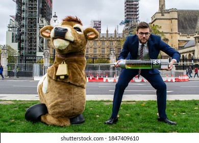 PARLIAMENT SQUARE, LONDON/ENGLAND- 24 October 2020: Protester Injecting A Pantomime Cow With Hormones At The 'STOP TRUMP, STOP THE TRADE DEAL' Protest, Against Hormone-laced Beef Among Other Issues