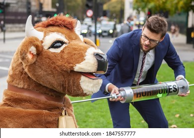 PARLIAMENT SQUARE, LONDON/ENGLAND- 24 October 2020: Protester Injecting A Pantomime Cow With Hormones At The 'STOP TRUMP, STOP THE TRADE DEAL' Protest, Against Hormone-laced Beef Among Other Issues