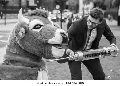 PARLIAMENT SQUARE, LONDON/ENGLAND- 24 October 2020: Protester Injecting A Pantomime Cow With Hormones At The 'STOP TRUMP, STOP THE TRADE DEAL' Protest, Against Hormone-laced Beef Among Other Issues