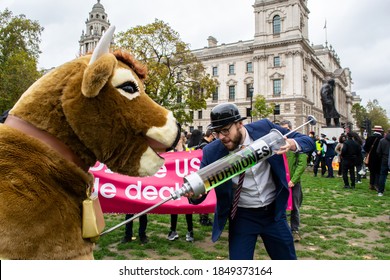 PARLIAMENT SQUARE, LONDON/ENGLAND- 24 October 2020: Protester Injecting A Pantomime Cow With Hormones At The 'STOP TRUMP, STOP THE TRADE DEAL' Protest, Against Hormone-laced Beef Among Other Issues