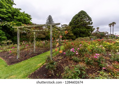 Parnell Rose Gardens In Auckland, New Zealand.