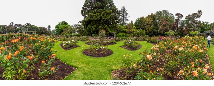 Parnell Rose Gardens In Auckland, New Zealand.