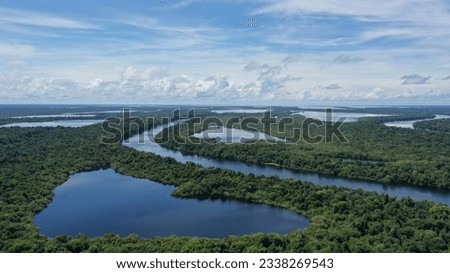 Parque nacional de Anavilhanas - Amazonas - Brasil