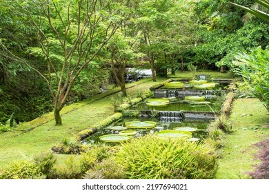 Parque Terra Nostra, São Miguel Island, Azores