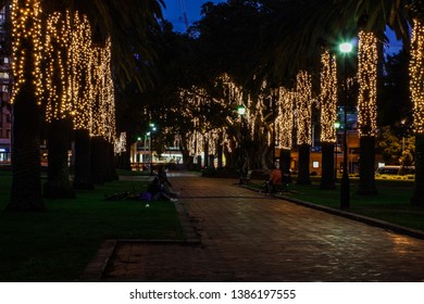 Parramatta Park Of Sydney Australia 