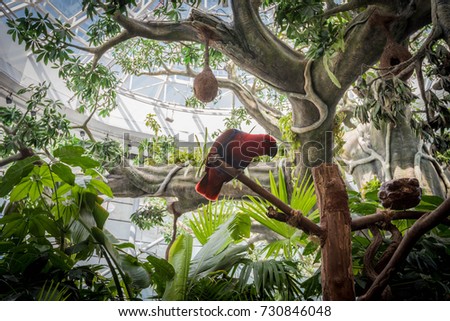 parrot at a bio dome
