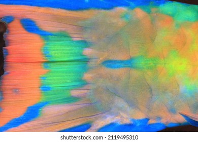 Parrot Fish Skin Details , Close Up , Tropical Fish 