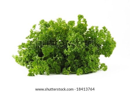 Similar – Image, Stock Photo parsley Parsley