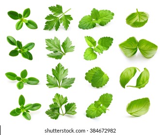 Parsley Herb, Basil Leaves, Thyme,mint Spice Isolated On White Background.