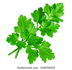 Parsley herb isolated on white background. Parsley leaf top view, flat lay
				