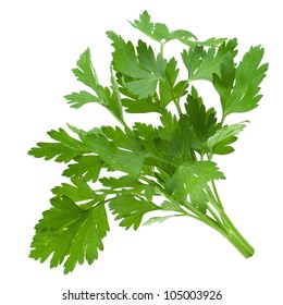 Parsley Isolated On White