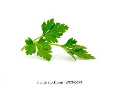 parsley isolated on white - Shutterstock ID 240346699