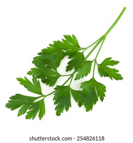 Parsley Isolated On White

