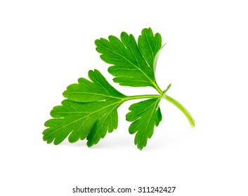 Parsley Isolated On White