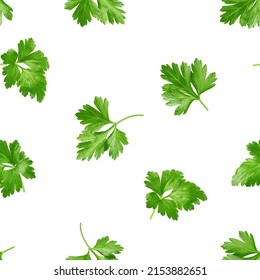 Parsley isolated on white background, SEAMLESS, PATTERN - Powered by Shutterstock