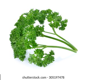 Parsley Isolated On White Background