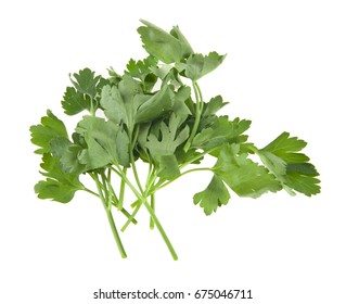 Parsley isolated on white background closeup - Shutterstock ID 675046711