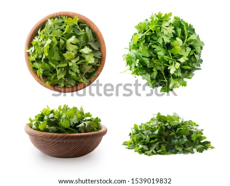 Parsley isolated on white background. Top view. Parsley leaves with copy space for text. Herbs isolated on white. Parsley leaves on white background. 