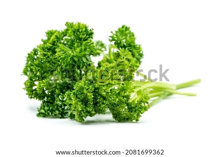 Similar – Image, Stock Photo parsley Parsley